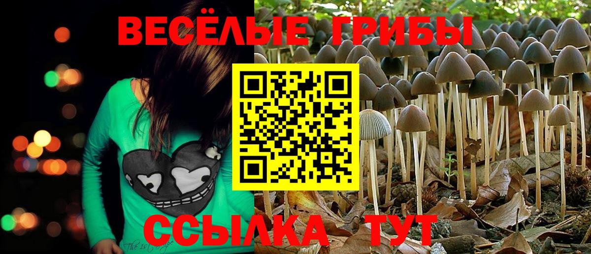 Вольск  сколько стоит  Псилоцибиновые грибы Cubensis  Вход с VPN  Галлюциногенные грибы мухоморы 